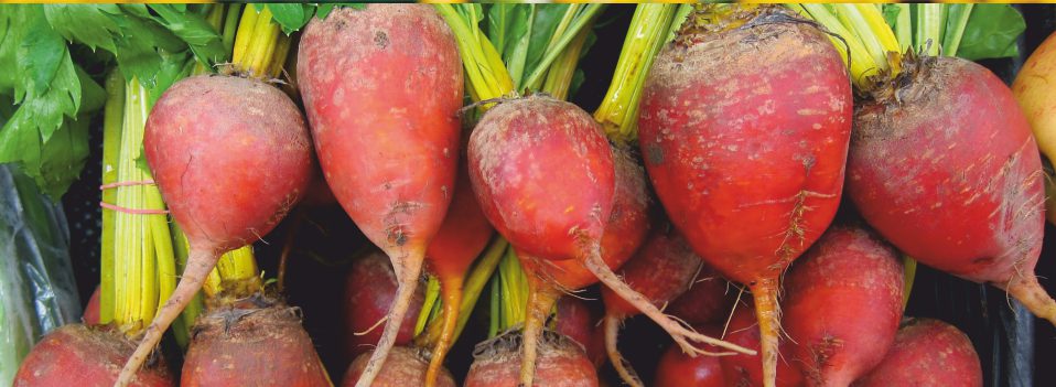 produkt rsm 32 oferuje biospiro Brzeg